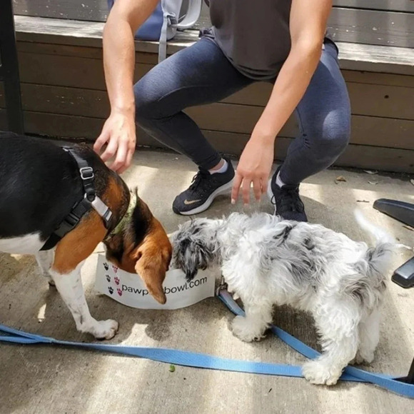 Dog Water Travel Bowl Foldable Reusable New - Picture 3 of 6